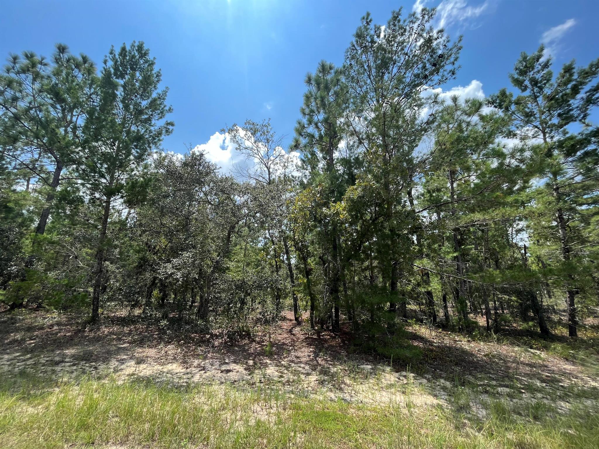 Owner financing available...Build your Home or bring your new Mobile Home to this peaceful wooded lot. Easy access to power, power poles located on the road. Keystone Heights offers many lakes for water sports, Gold Head State Park for exploring and camping, along with trails for bicycling. Town is centered between Palatka, Gainesville and Jacksonville.