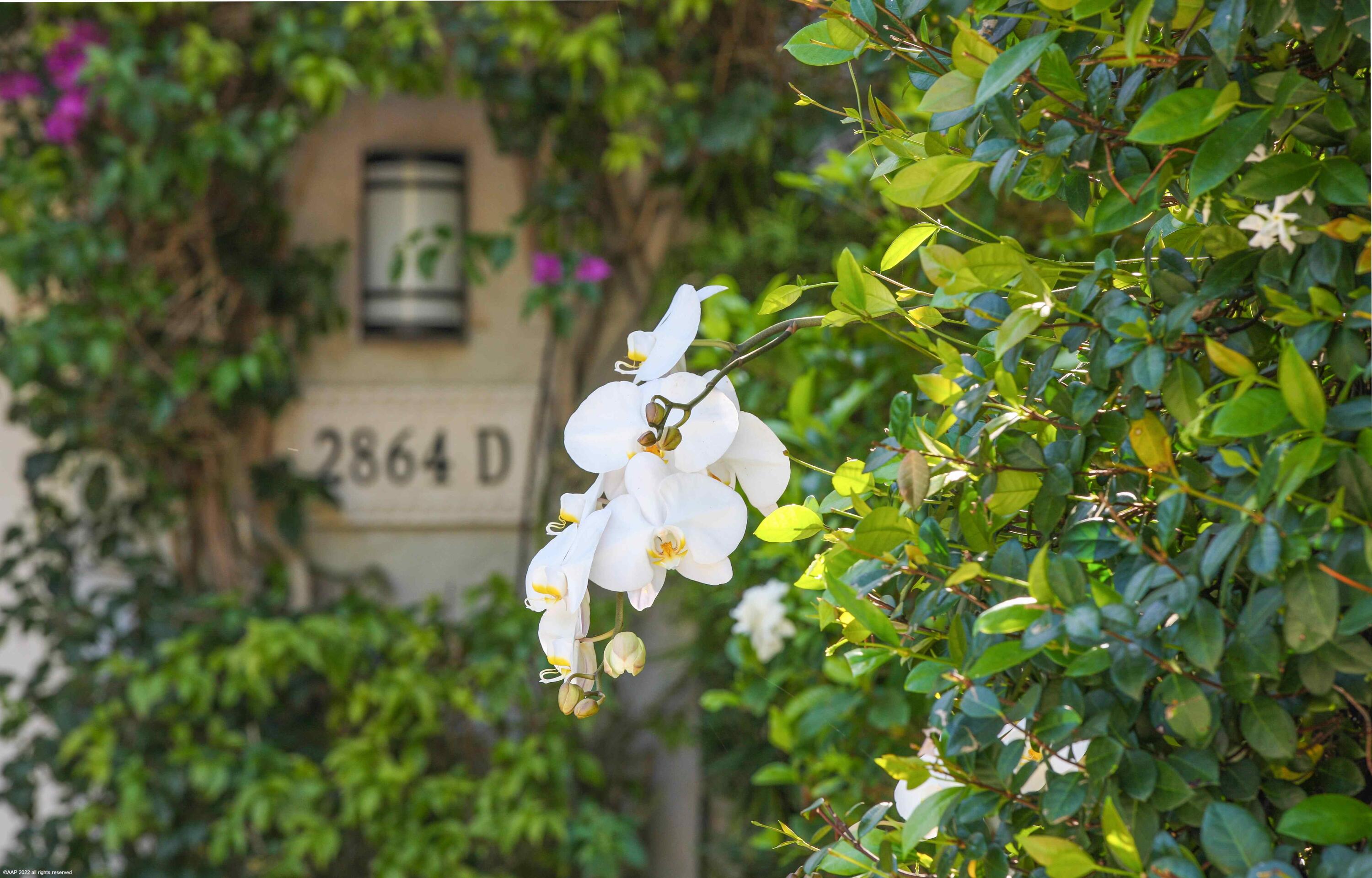 OAK TREE VILLAS CONDO - Residential