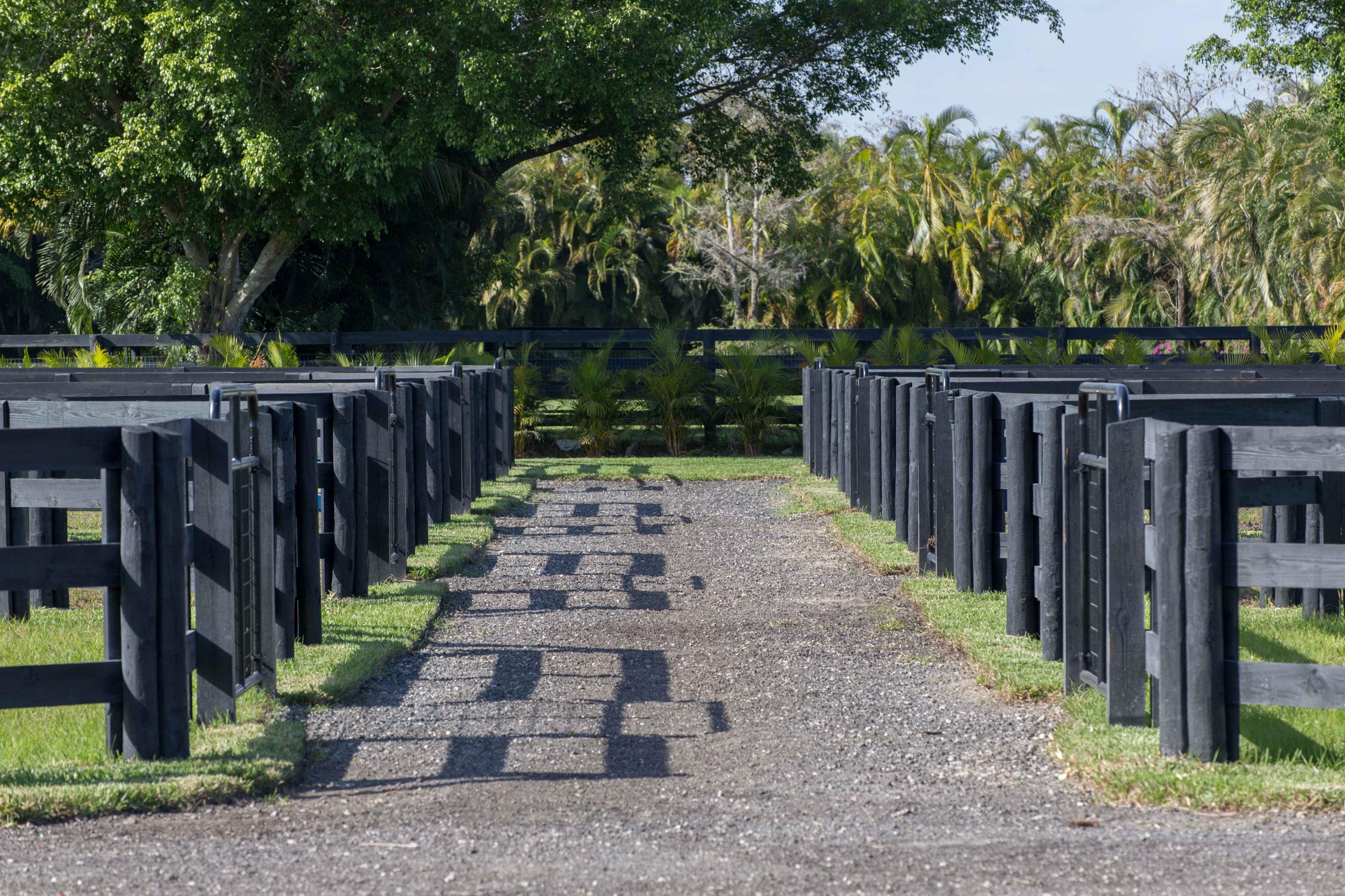 SADDLE TRAIL PARK OF WELL - Residential