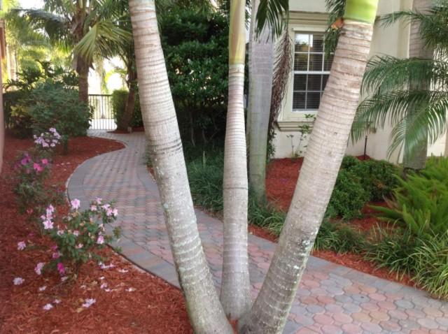 OLYMPIA 2 - Residential Lease