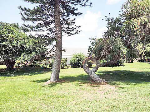 High Point - Residential