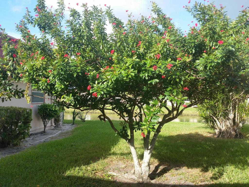 Kings Point - Residential