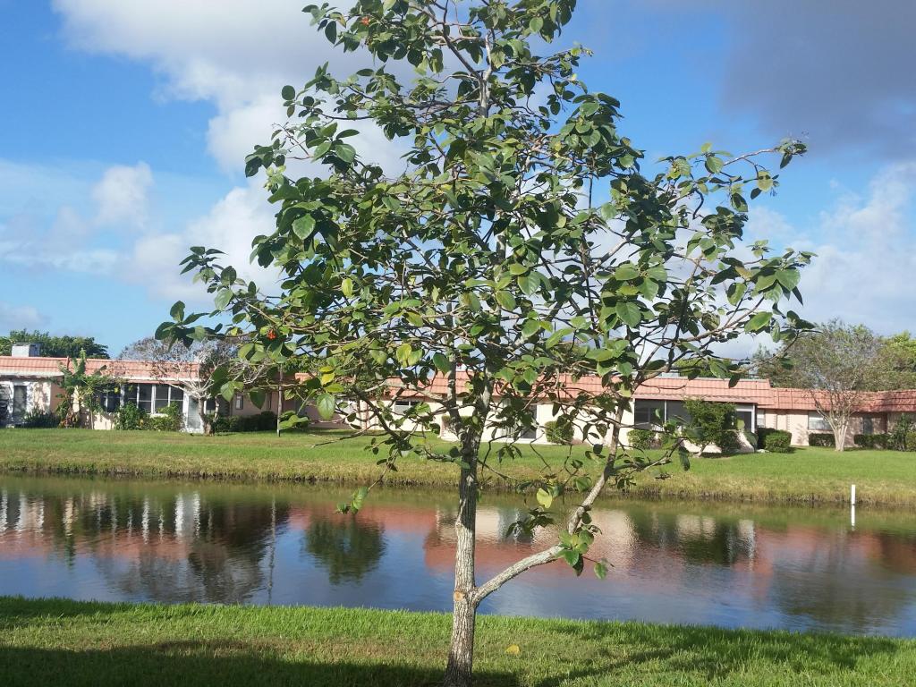 Kings Point - Residential