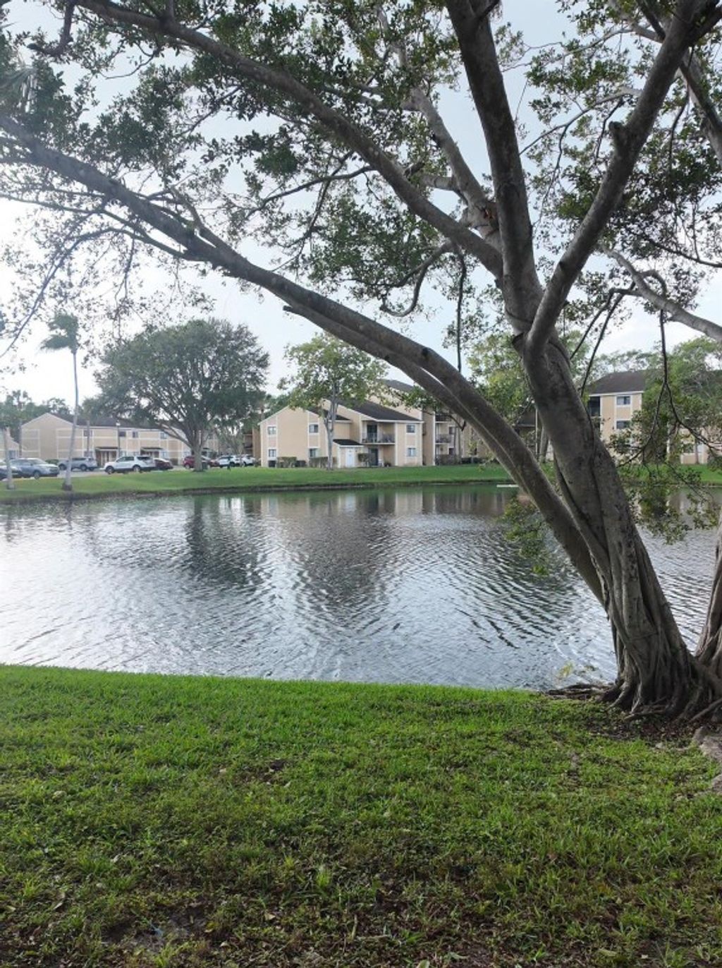 Photo of 320 E Palm Circle #320, Pembroke Pines, FL 33025 (MLS # F10543237)