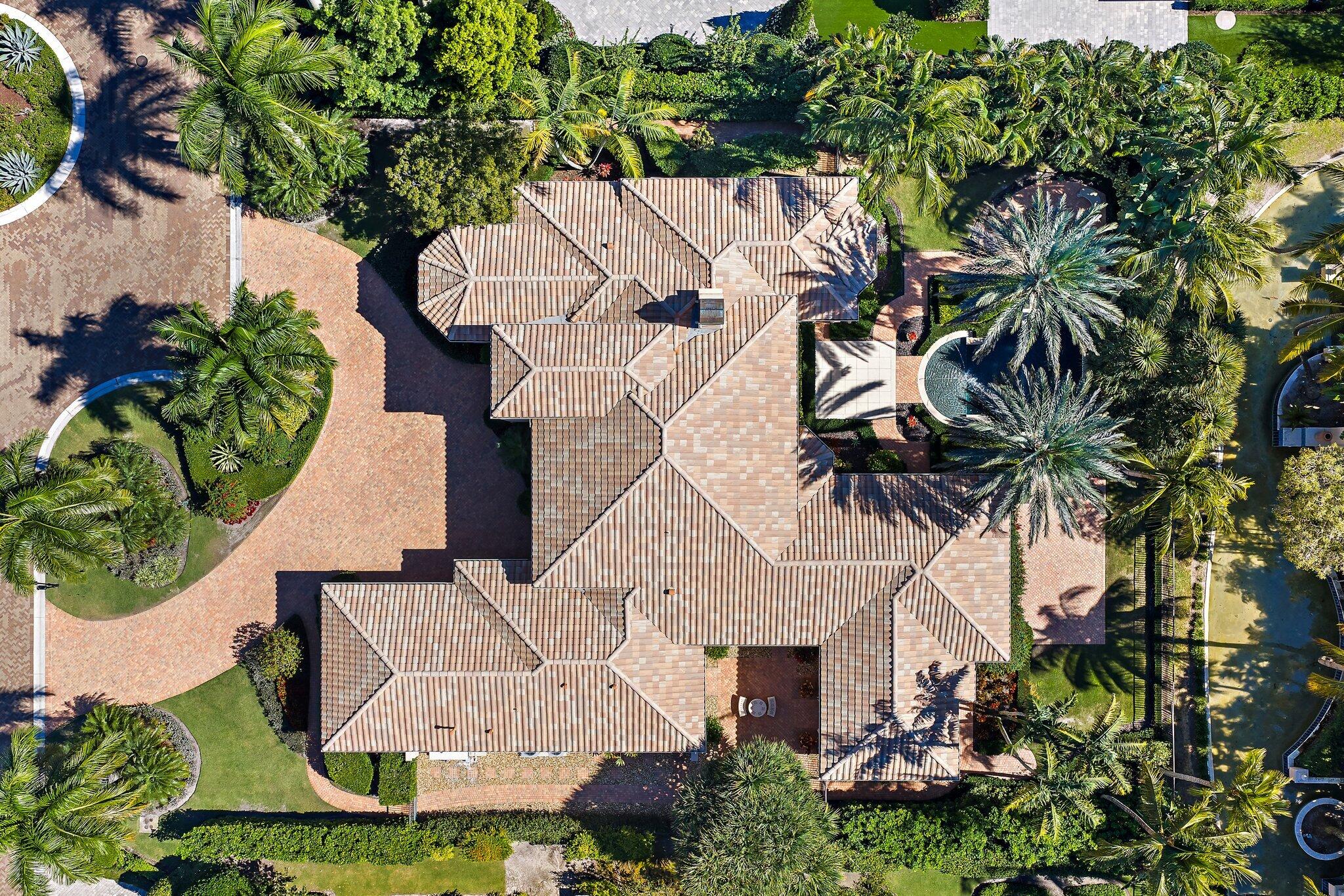 OLD PALM 4 - Residential