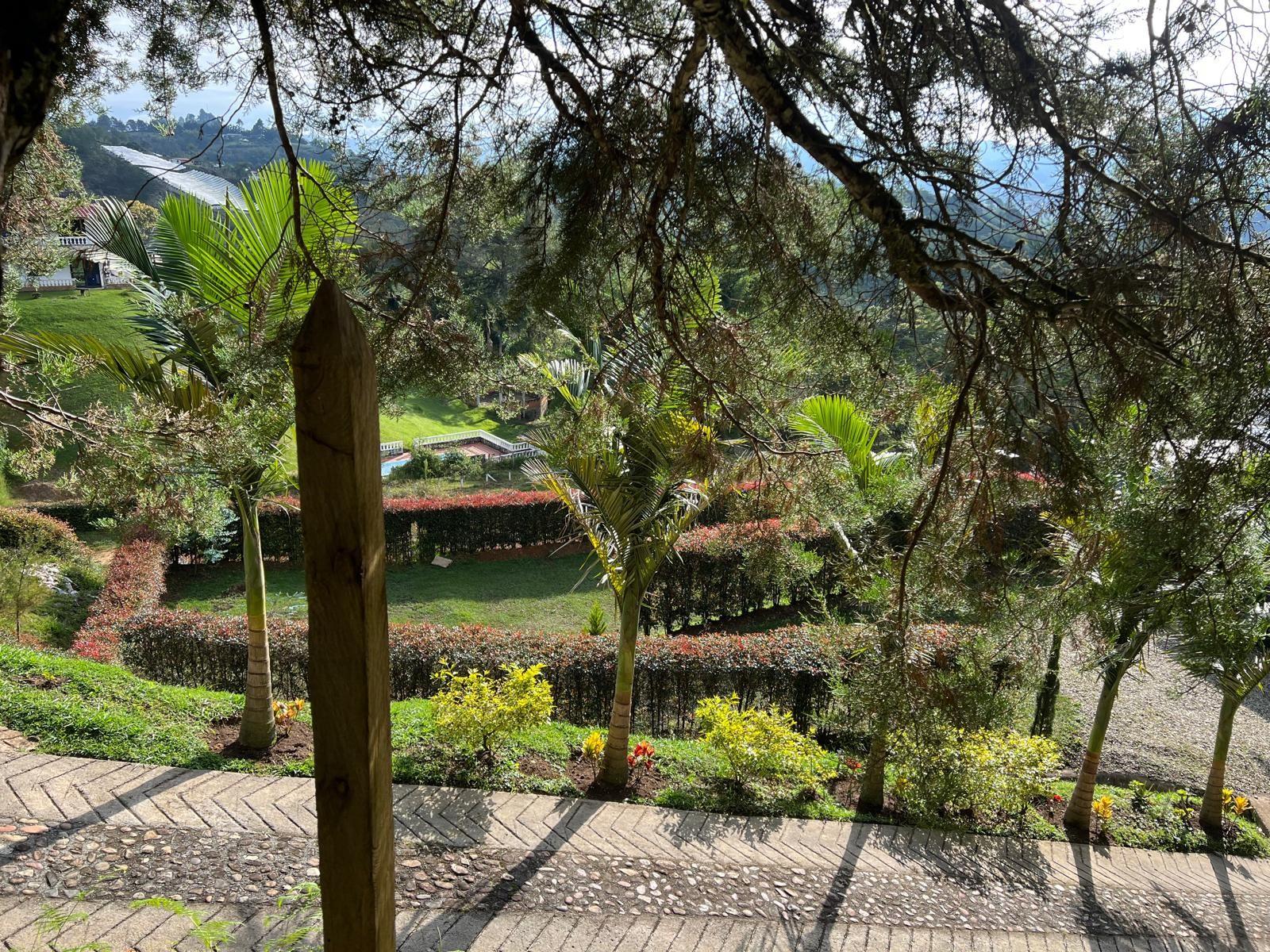 Vereda Guamito El Peñol - Residential