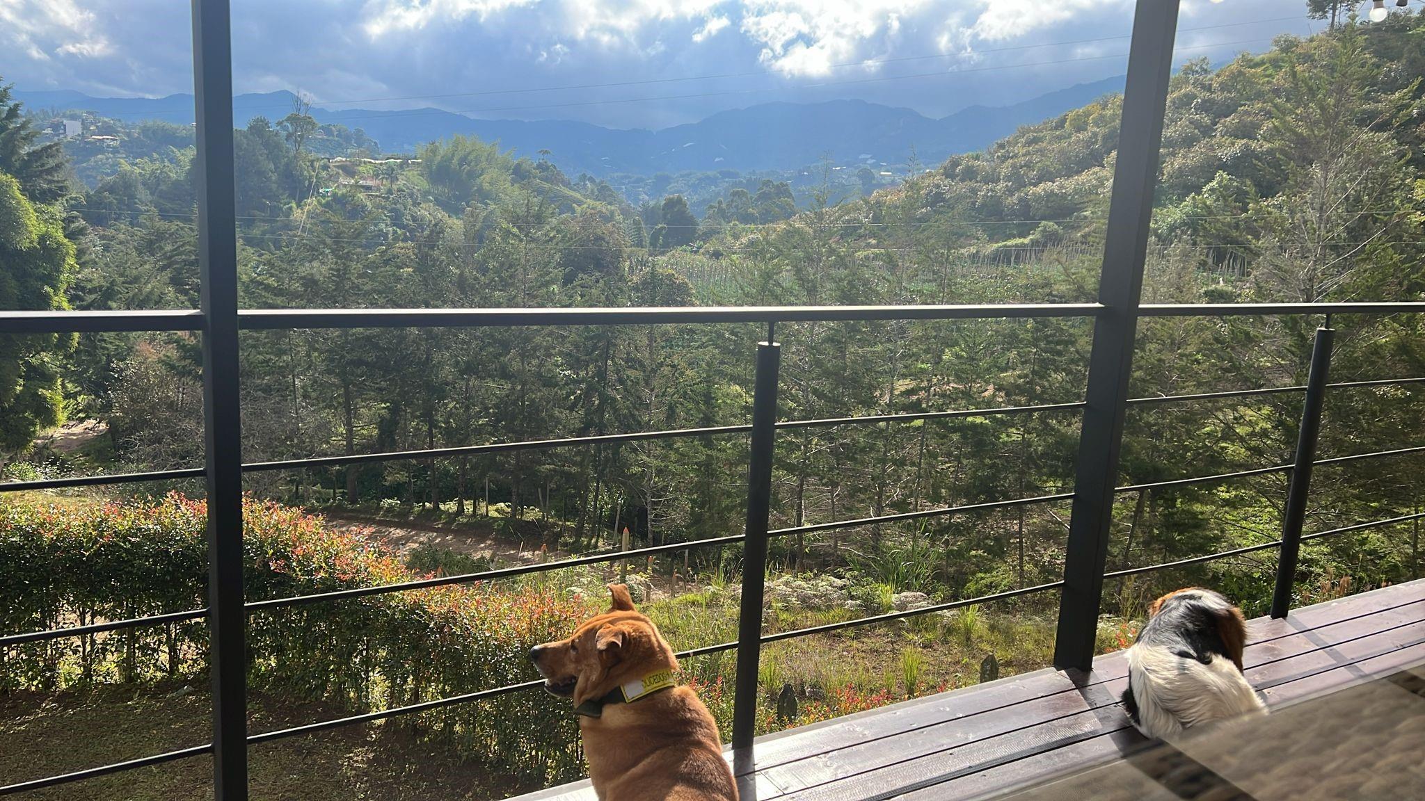Vereda Guamito El Peñol - Residential