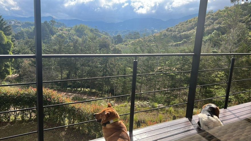 Peaceful country life!  Temp 55-85F year round! Located in the scenic El Penol area of Vereda Guamito.  Approx 1 hour from airport, 1.5 hours to Medellin.  Features: Deck with panoramic views, Full fenced with motorized gate, sold fully furnished, Includes appliances, (washer, dryer, refrigerator, stove, A/C, Hot water heater).  Bathrooms and plumbing installed by US certified plumbers.  Easy access to hospital, restaurants and tourist attractions.  Space for herb and vegetable garden. 
Perfect as a vacation home, Air BNB or permanent residence.  Open to sale or property swap for apartment in Medellin or Florida. Deeded as condominium with optional membership.  On site caretaker.  Cleaning and cooking lady available if needed from $18.00 USD per day (if employed full time 6 days per week)