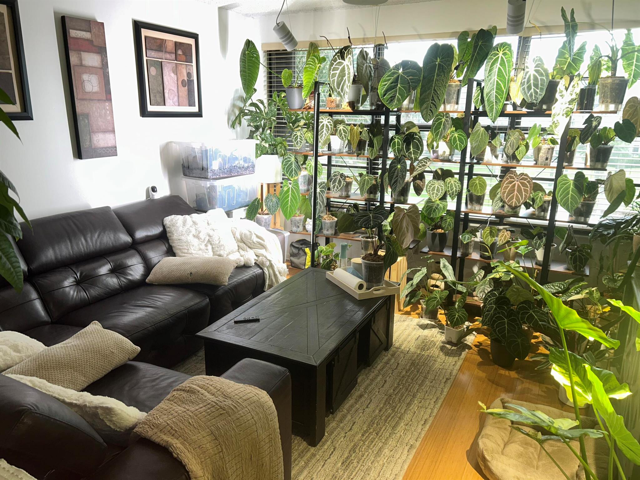 3511 Village Boulevard 302