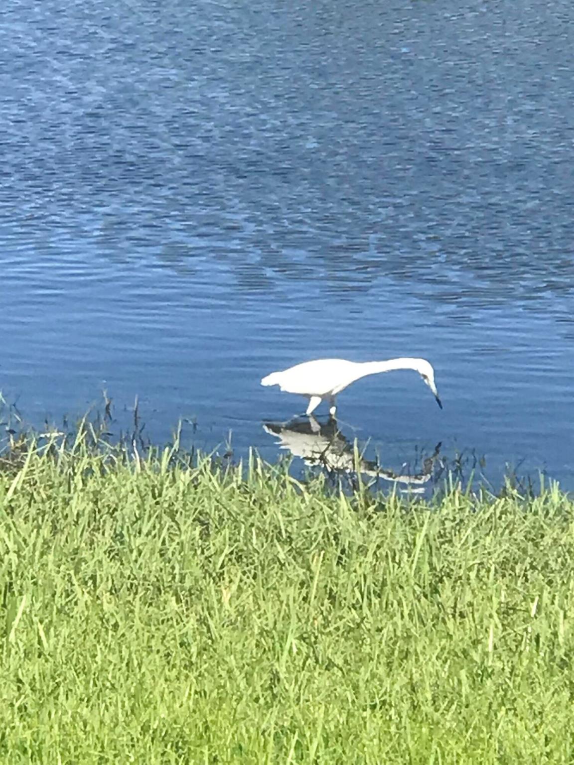 VISTA HARBOR CONDO BLDGS - Residential Lease