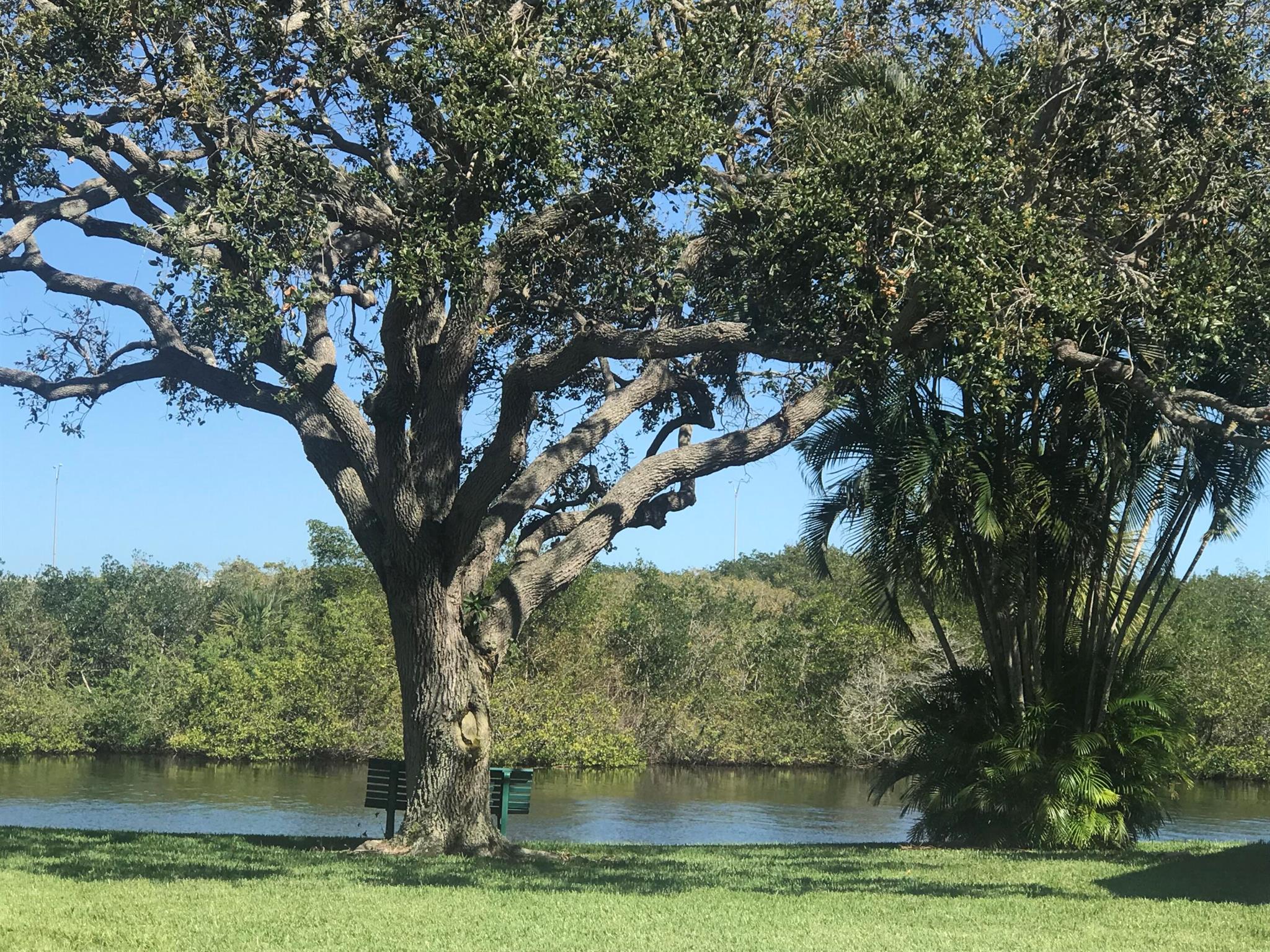 VISTA HARBOR CONDO BLDGS - Residential Lease