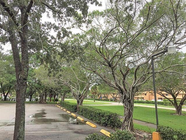 Boca Teeca Condoo 3 - Residential Lease