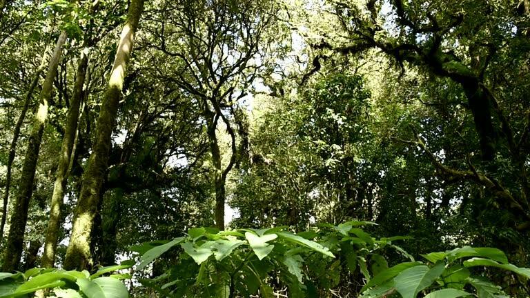 Sought after  Torino  area   vacant lot ready for your custom home.