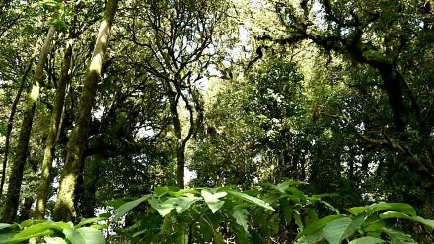 Sought after  Torino  area   vacant lot ready for your custom home.