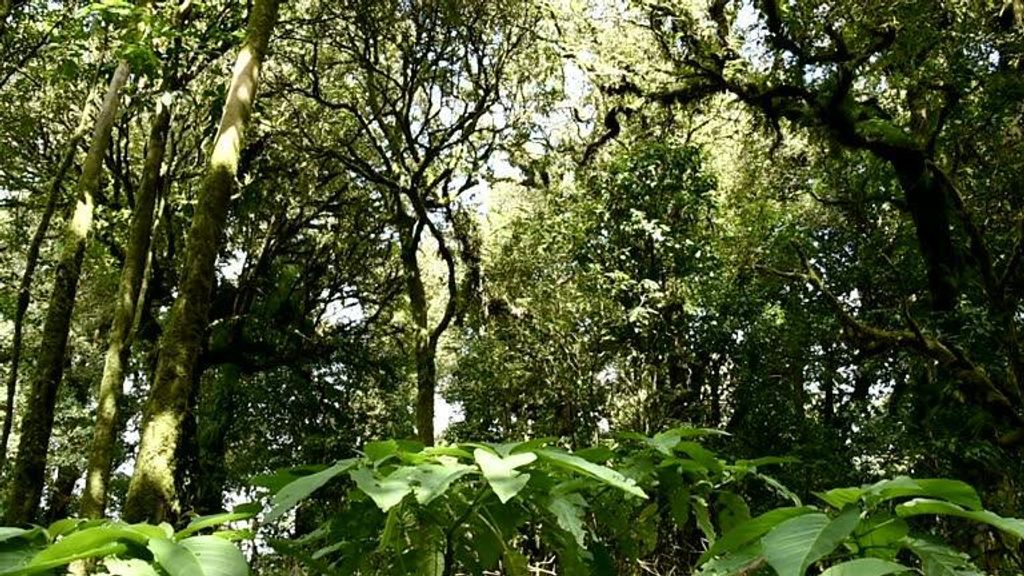 Photo of 5657 NW Whitecap Road, Port St Lucie, FL 34953 (MLS # R11133046)