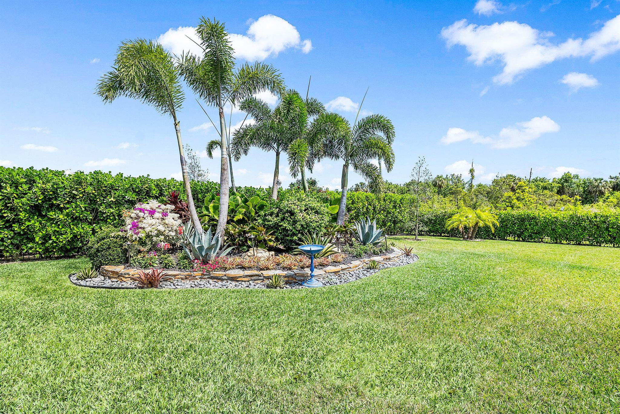 Pennock Preserve - Prado - Residential