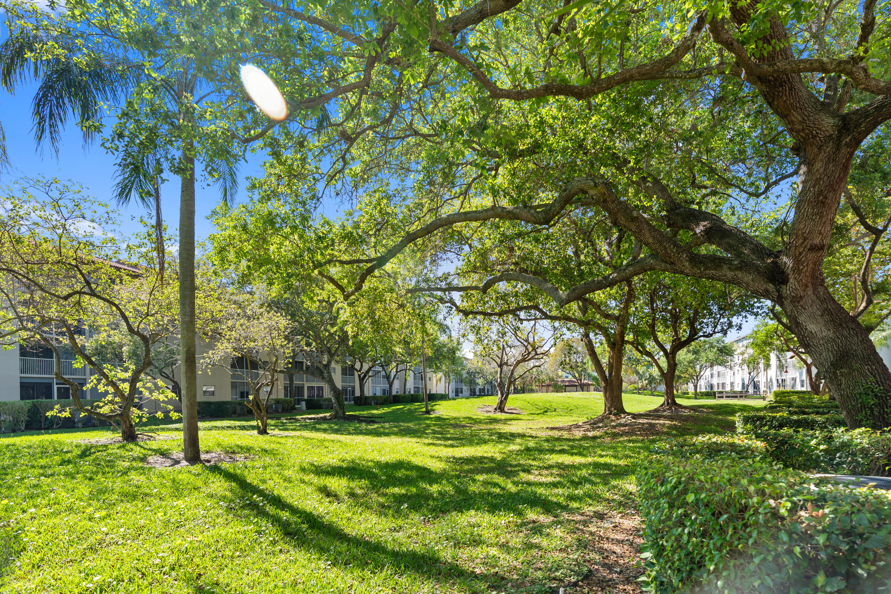 CAMBRIDGE T AT CENTURY VILLAGE - Residential