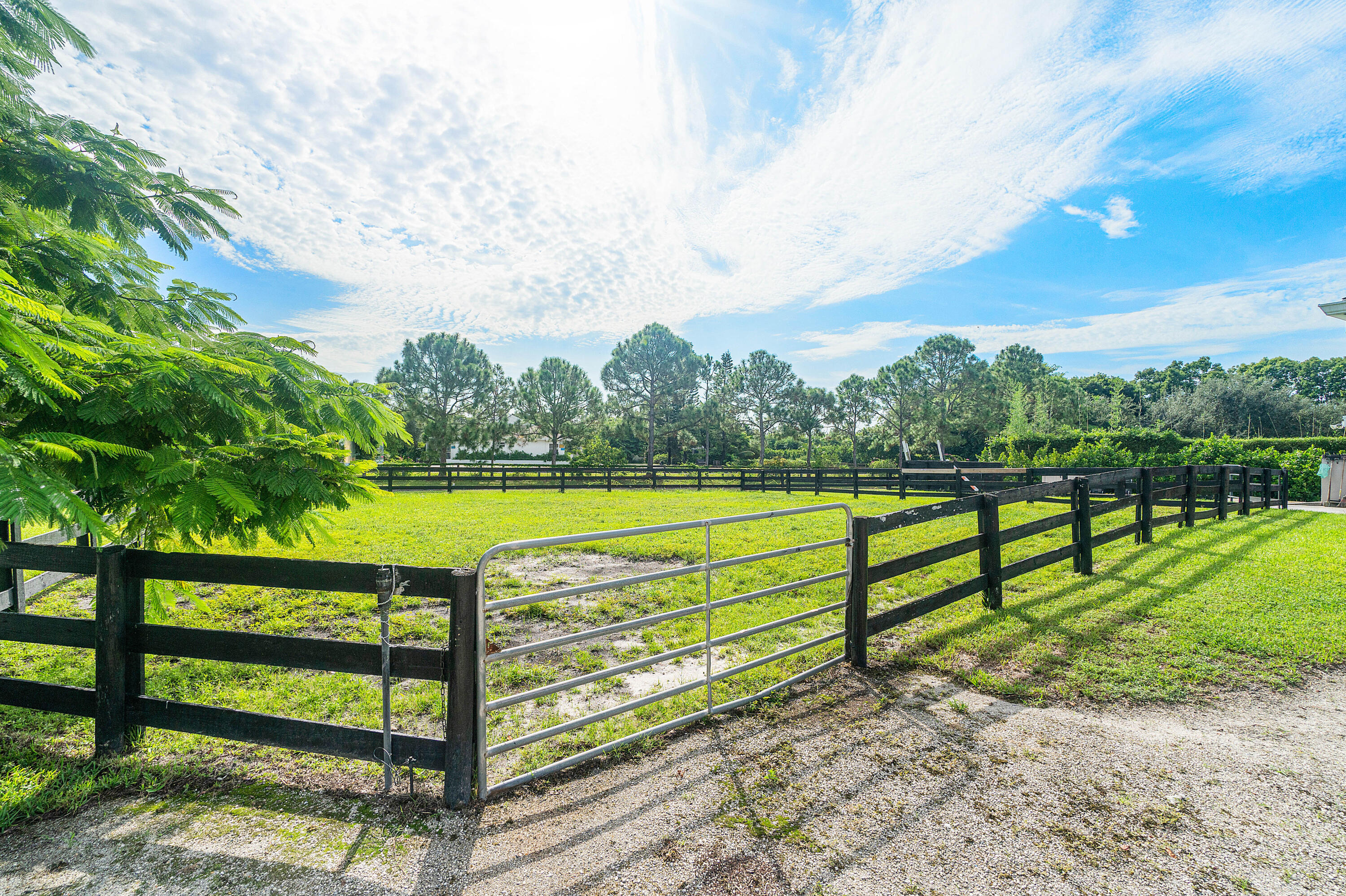 SADDLE TRAIL PARK OF WELLINGTON - Land