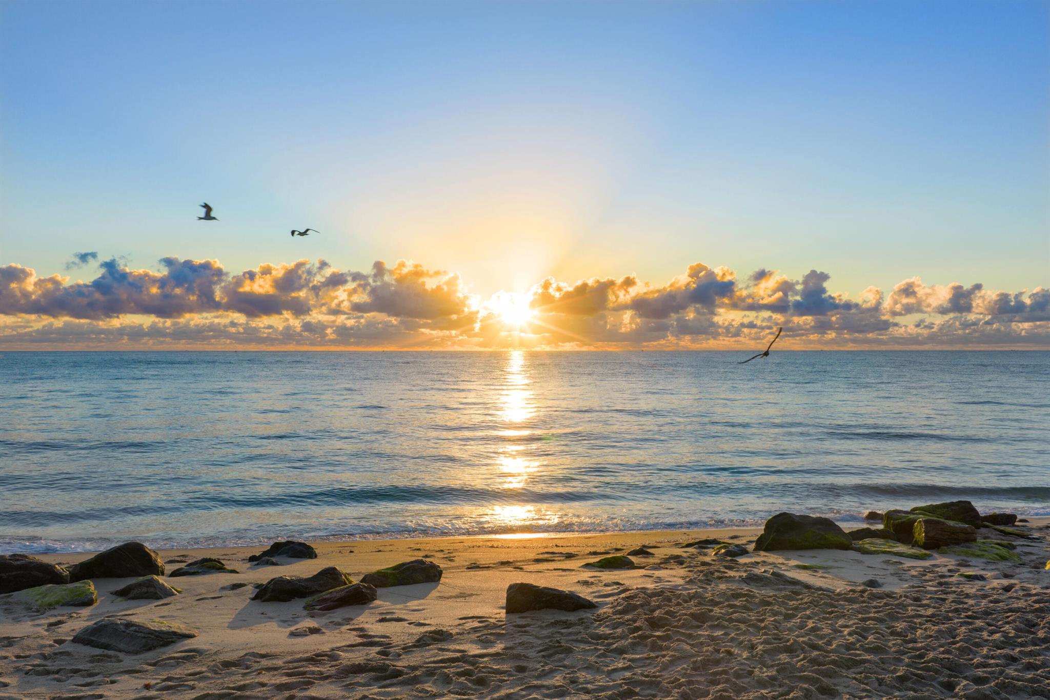 MC CORMICK MILE ADD 1 - Residential