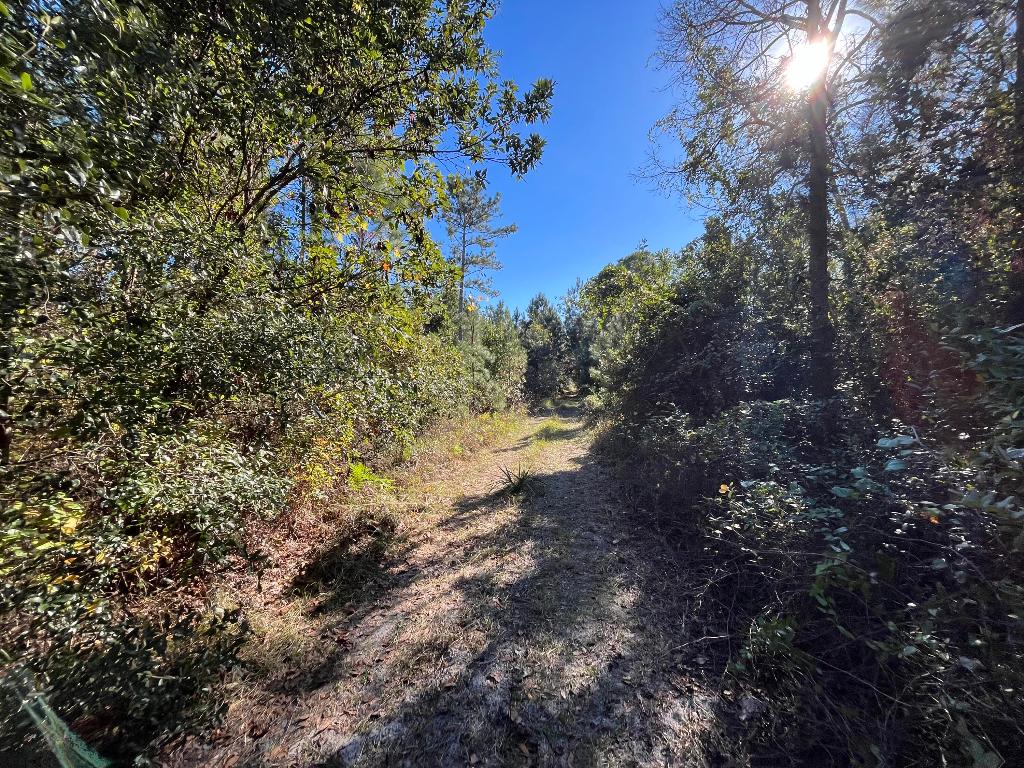 ST JOHNS RIVERSIDE ESTATES - Land