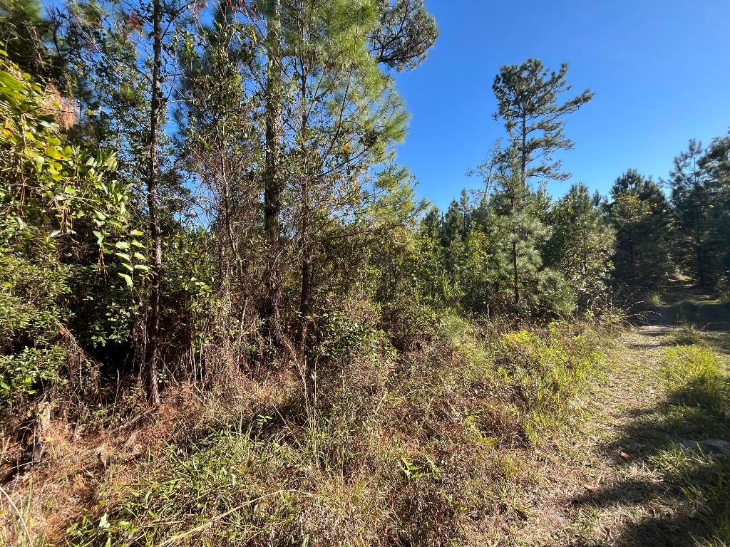 ST JOHNS RIVERSIDE ESTATES - Land