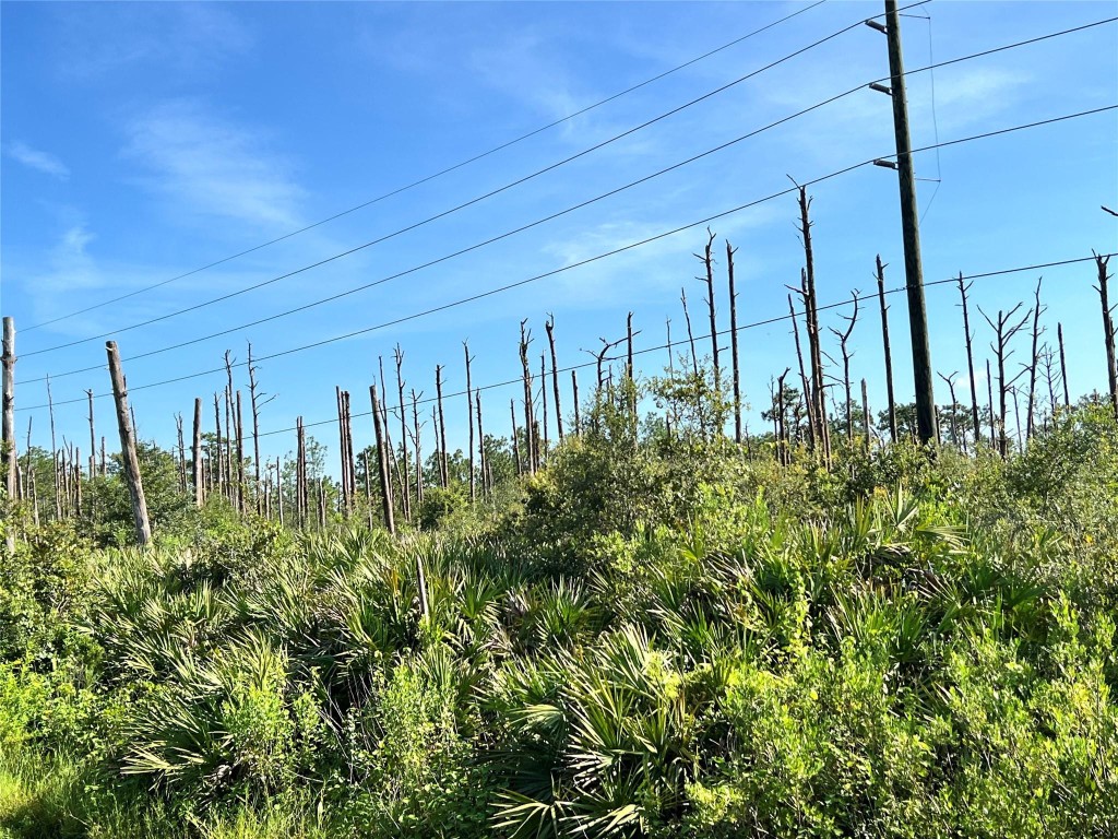 LAKE MONTAZA ESTATES SECT - Land