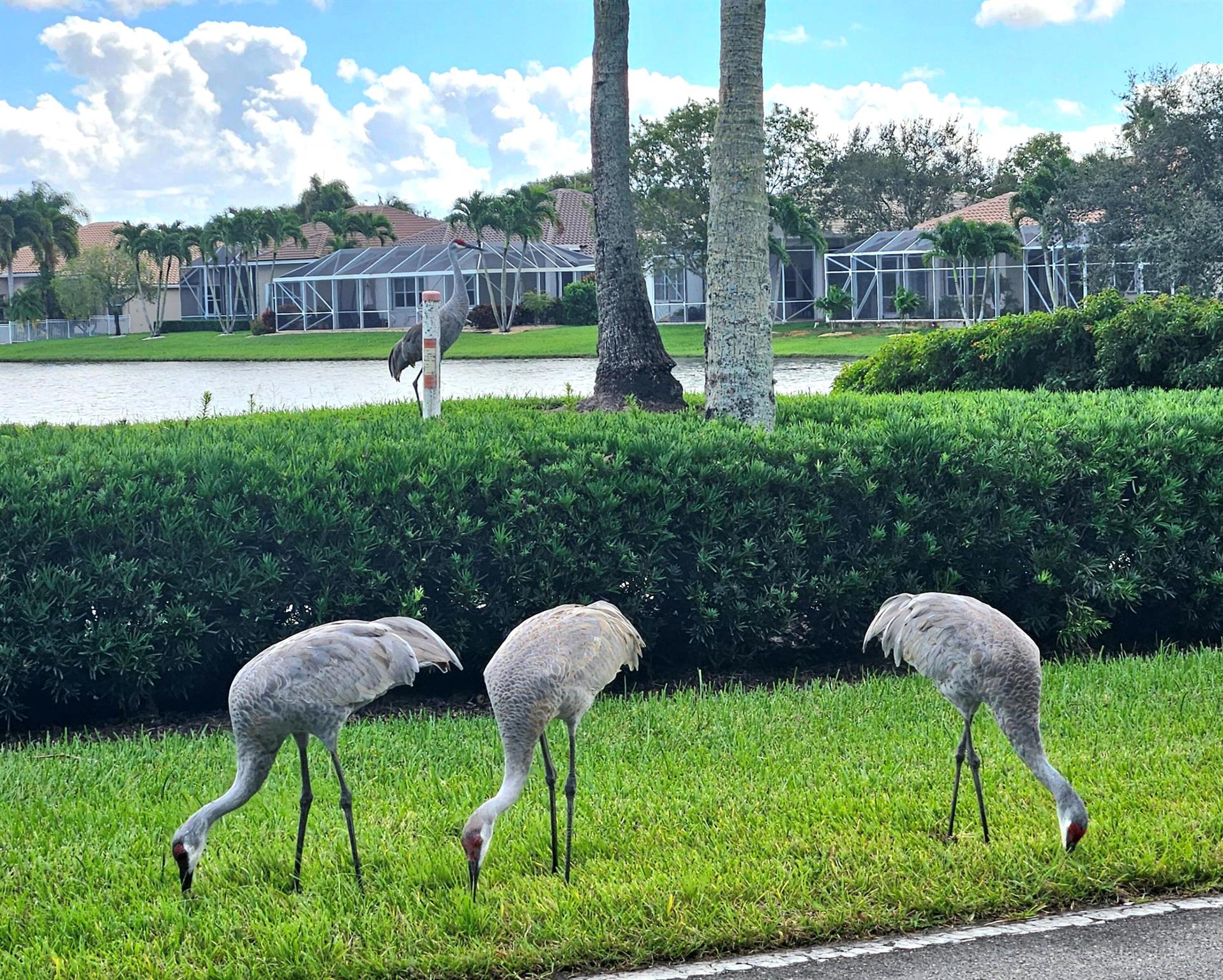 BELLAGGIO/ TOWNE PARK 2 - Residential Lease