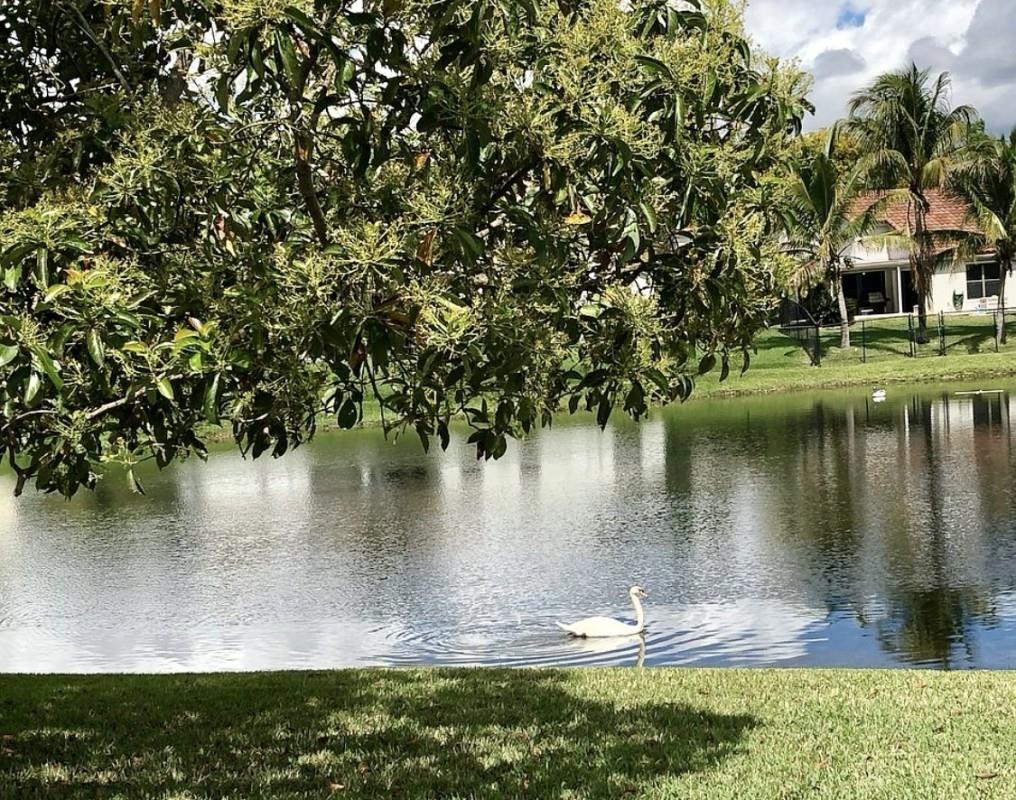 Forest Ridge Single Famil - Residential