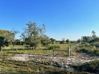 VIKING/PRAIRIE - Land