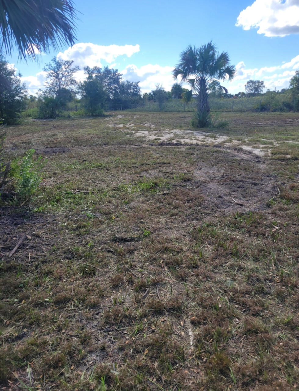 VIKING/PRAIRIE - Land