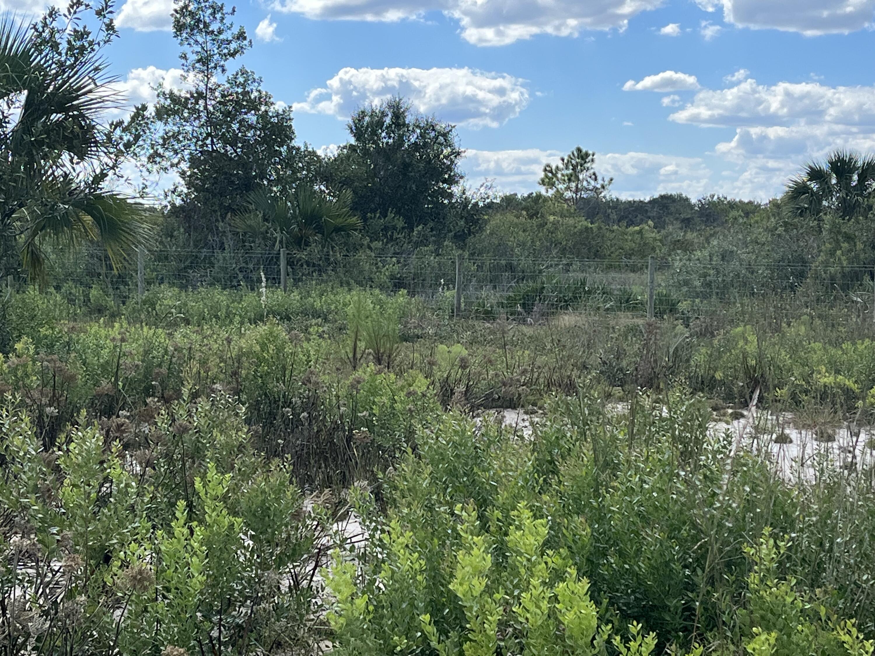 VIKING/PRAIRIE - Land