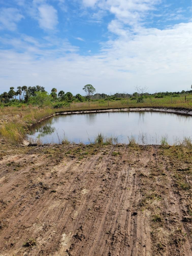 VIKING/PRAIRIE - Land