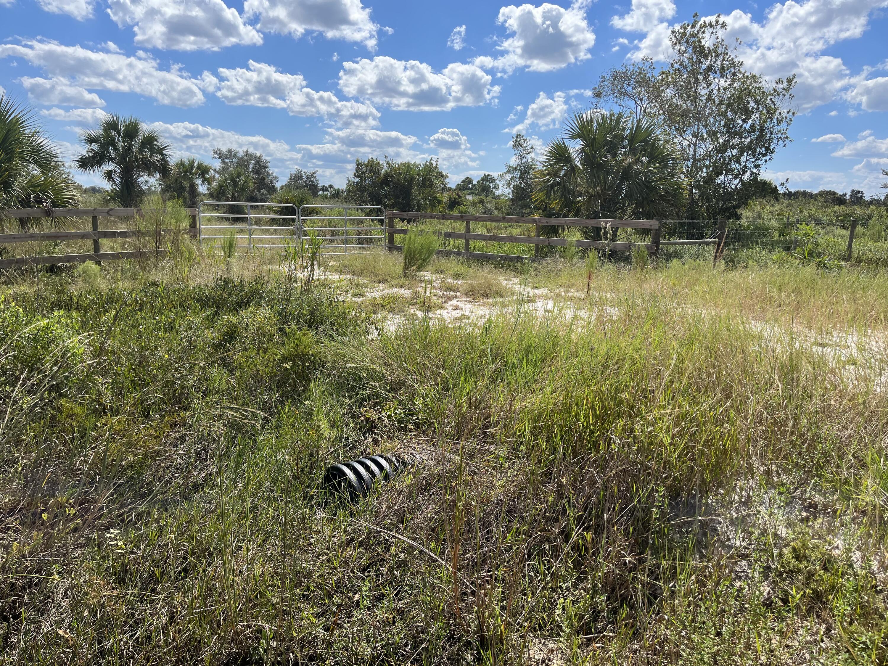 VIKING/PRAIRIE - Land