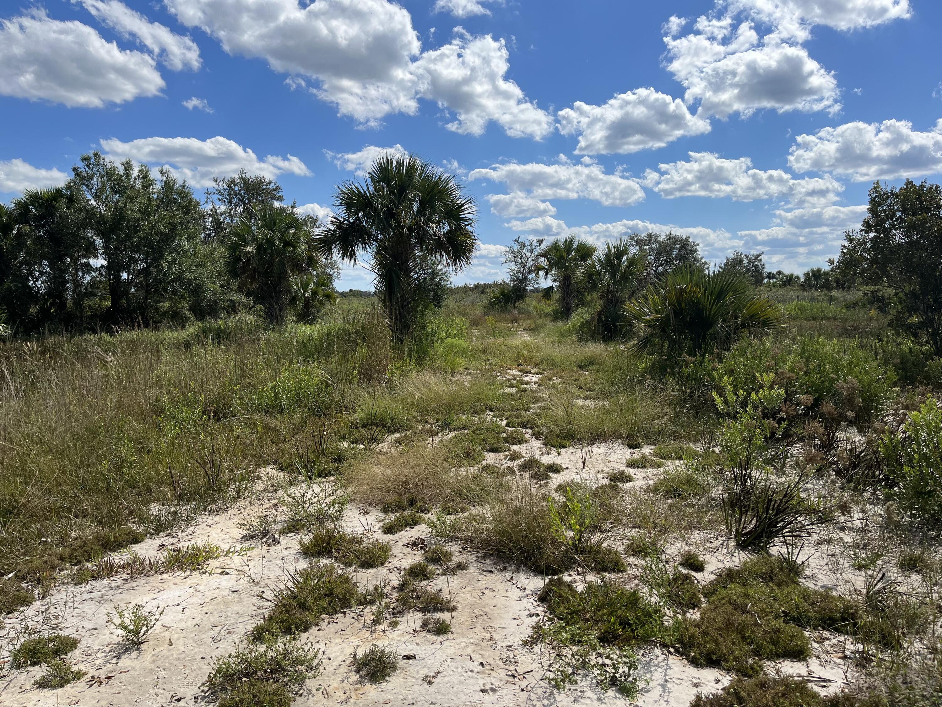 VIKING/PRAIRIE - Land