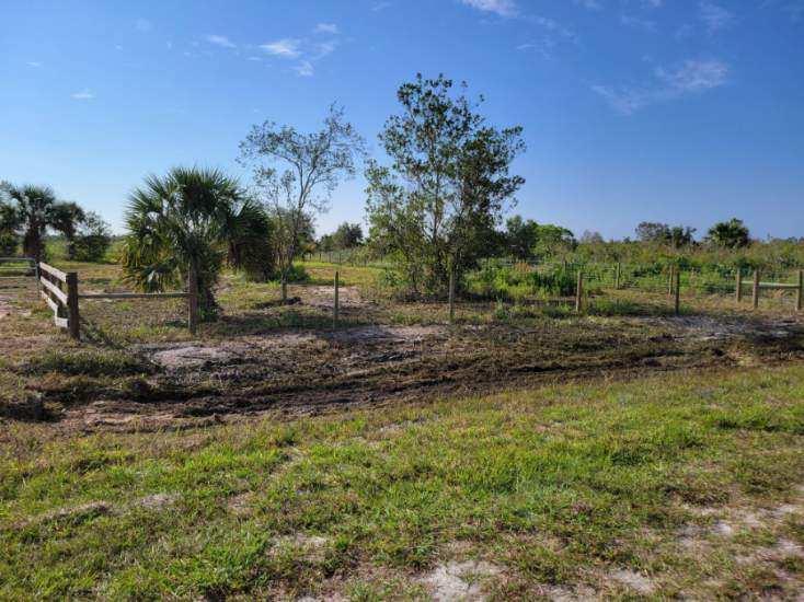 VIKING/PRAIRIE - Land