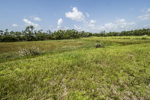 IBIS GOLF AND COUNTRY CLU - Residential