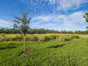 IBIS GOLF AND COUNTRY CLU - Residential