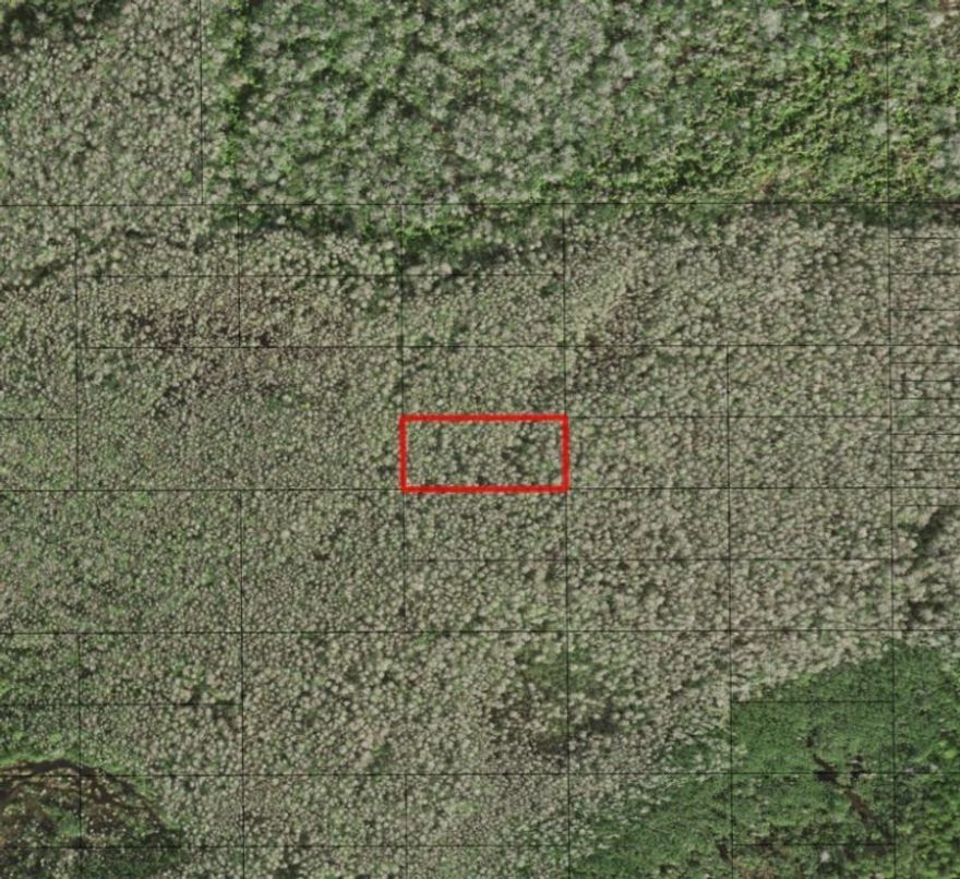 Holopaw property. Perfect for recreational use.Owner financing available