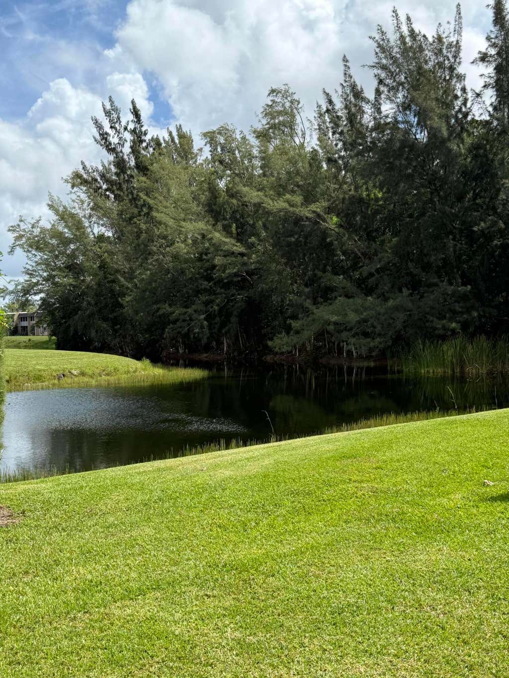 Photo of 133 Lake Olive Drive, West Palm Beach, FL 33411 (MLS # B26061534)