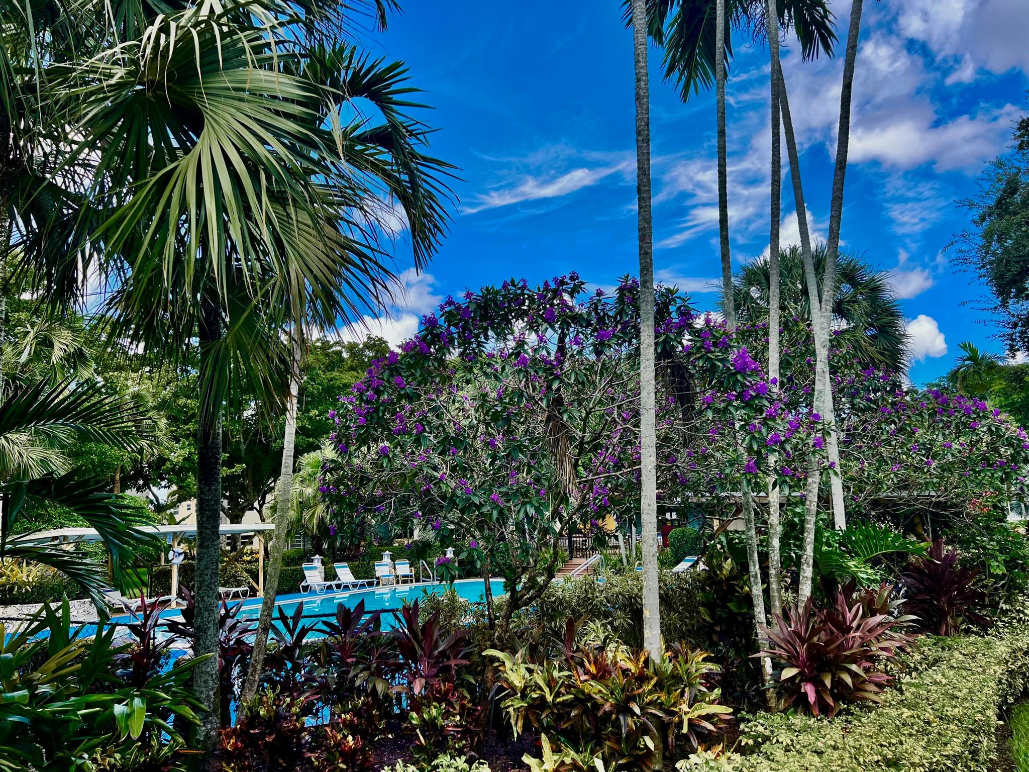 KAHLUA GARDENS CONDO - Residential