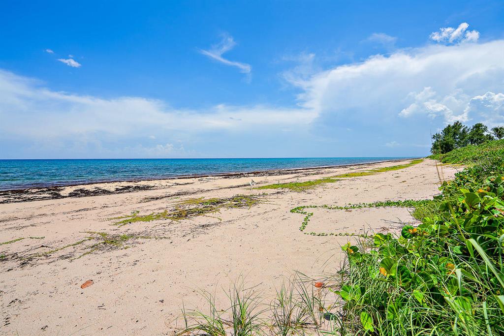 REGENTS PARK - Residential