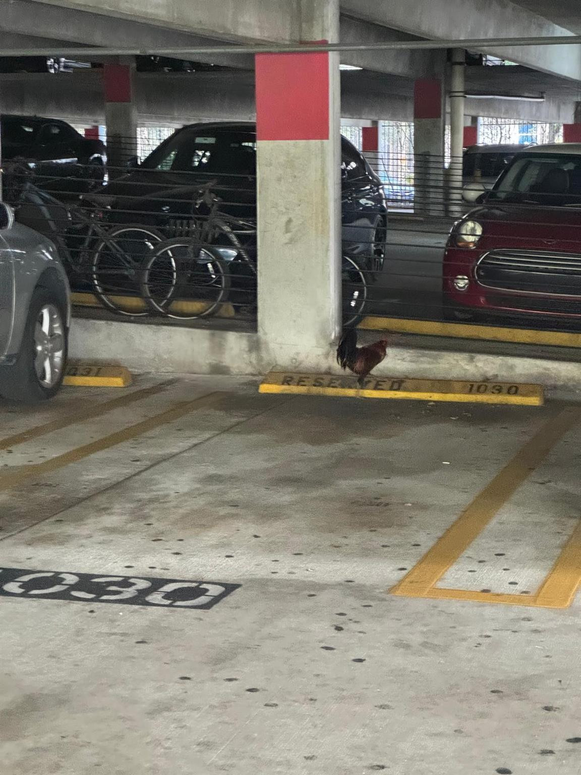 The Madison - Residential