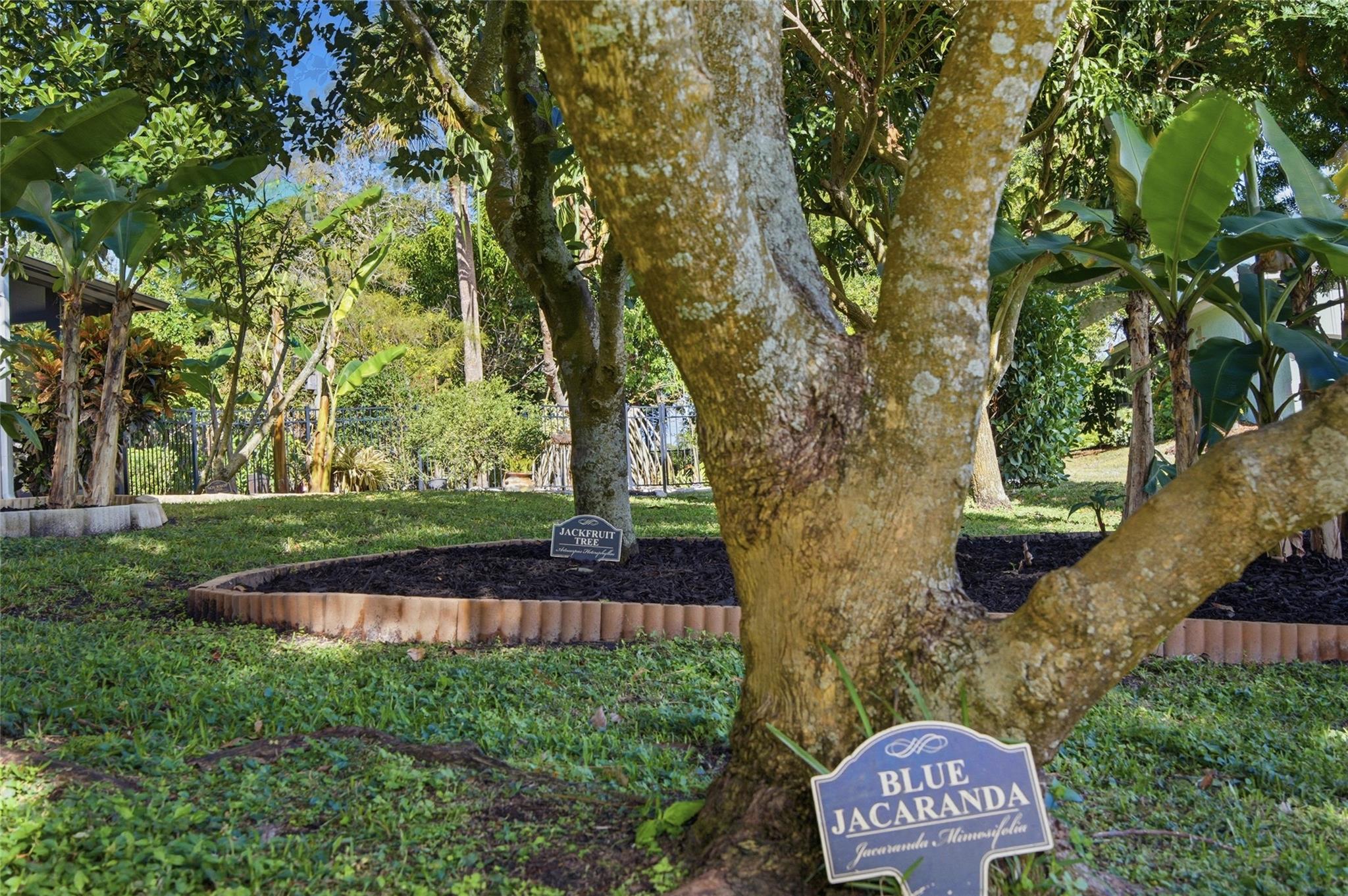 Beau Rivage - Residential