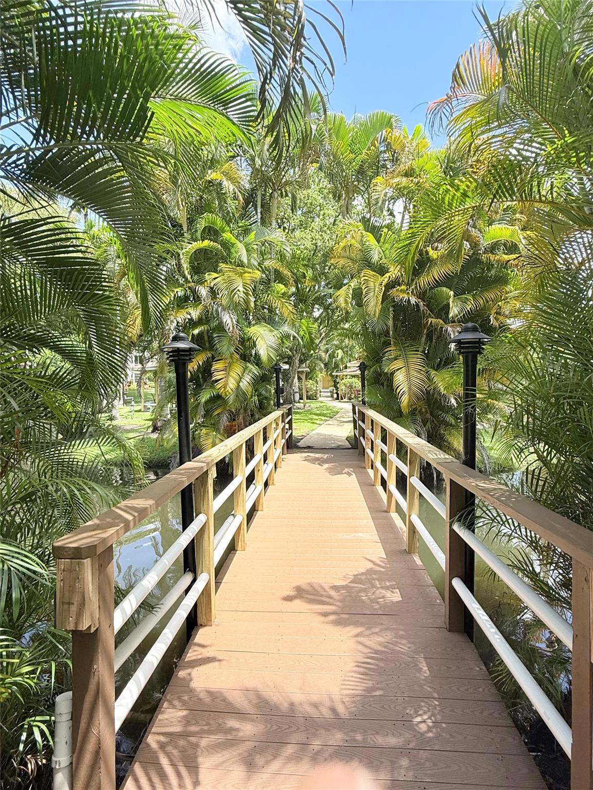 Hawaiian Gardens -Petunia - Residential