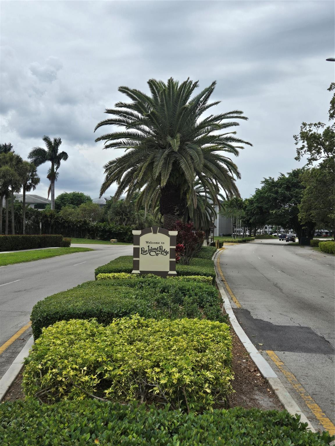 Sabal Palm - Residential