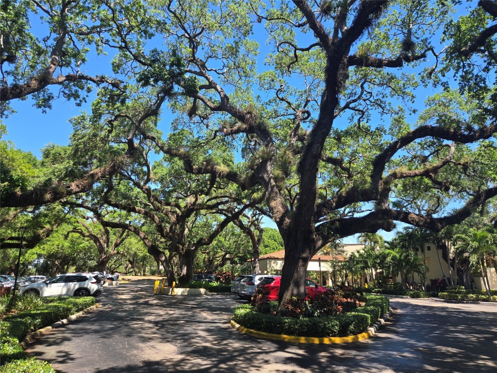 Sabal Palm - Residential