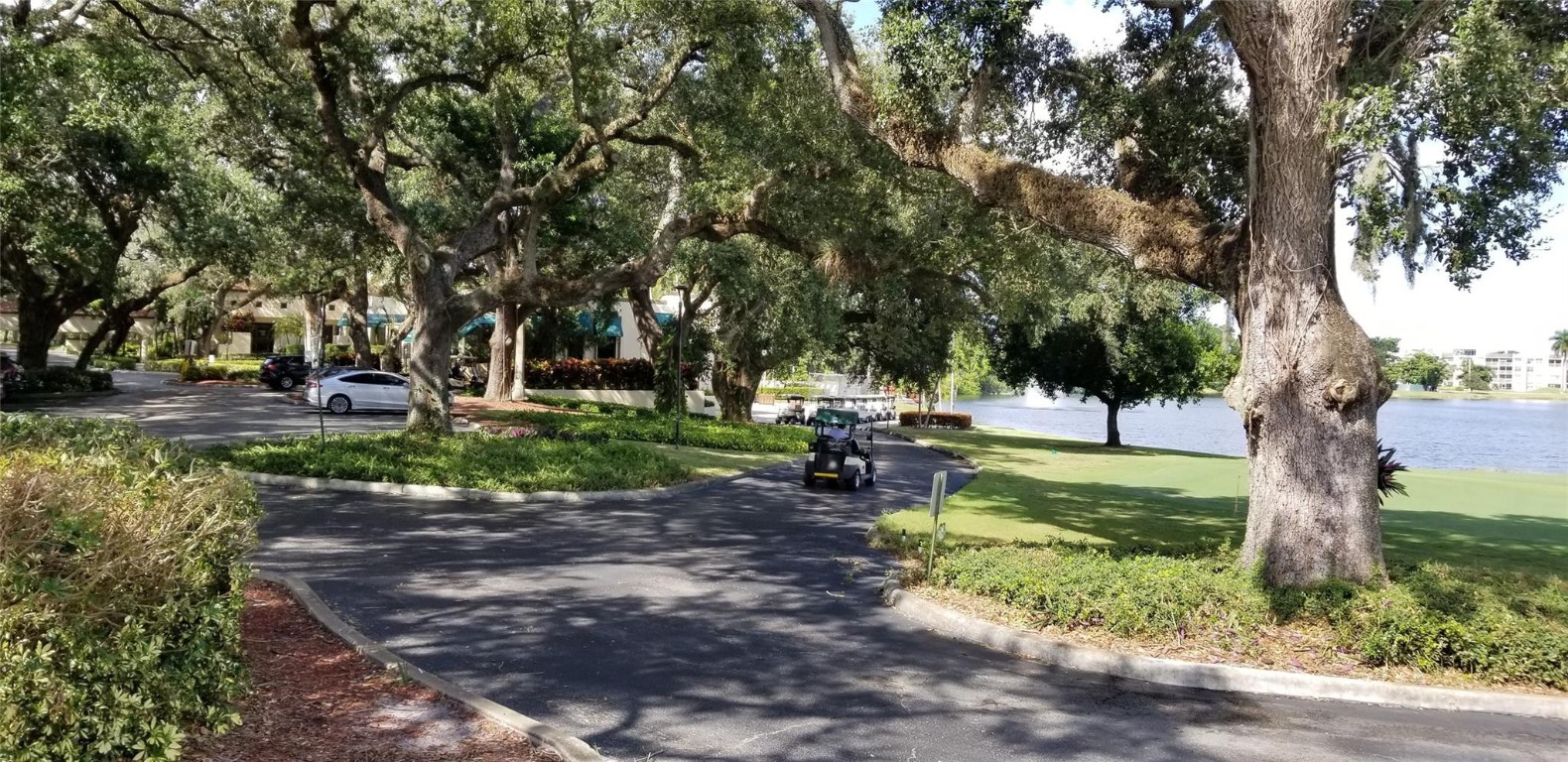 Sabal Palm - Residential