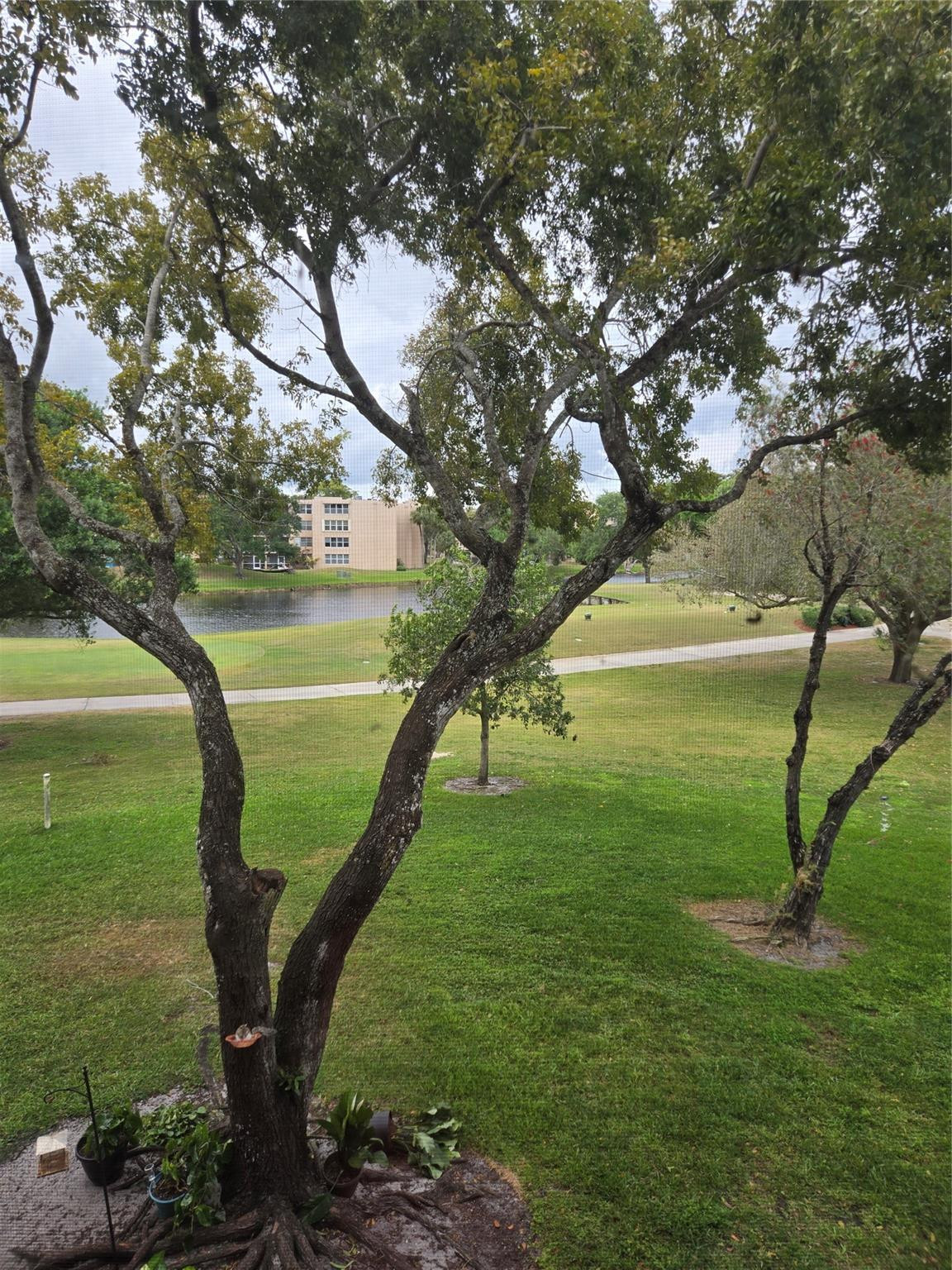 Sabal Palm - Residential