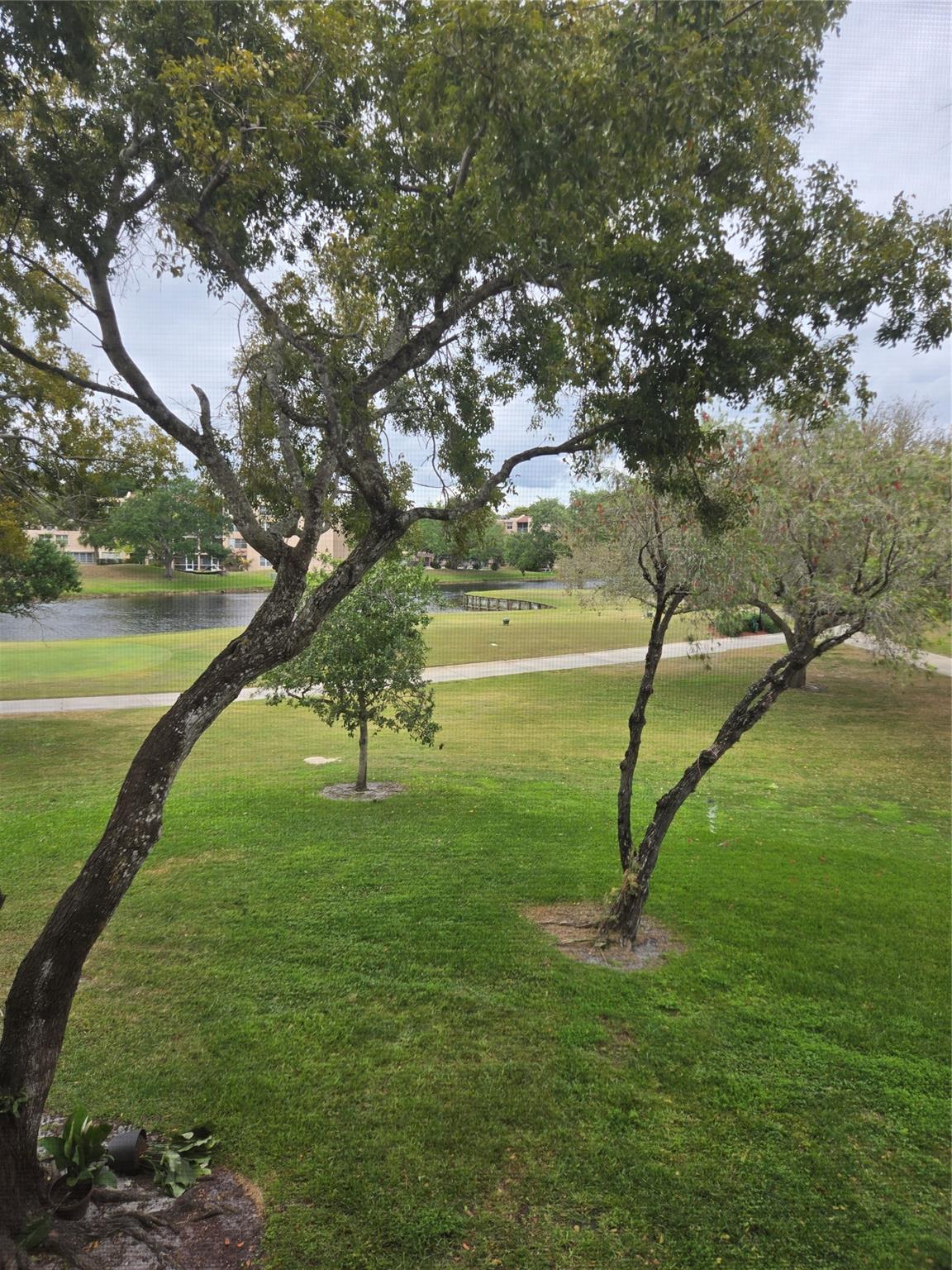 Sabal Palm - Residential