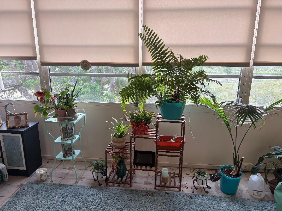 PALM LAKES - Residential